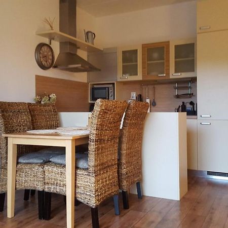 Kozel 1 Appartement Janské Lázně Buitenkant foto