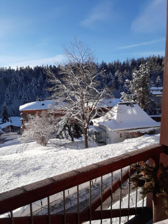 Kozel 1 Appartement Janské Lázně Buitenkant foto